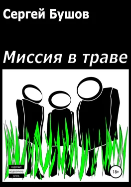 Сергей Бушов Миссия в траве обложка книги