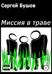 Сергей Бушов - Миссия в траве