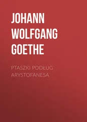 Johann Wolfgang Goethe - Ptaszki podług Arystofanesa