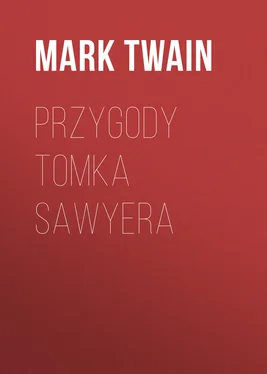 Mark Twain Przygody Tomka Sawyera обложка книги