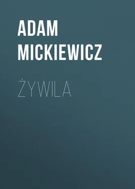 Adam Mickiewicz Żywila обложка книги