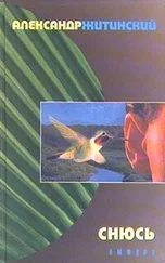 Александр Житинский - Снюсь