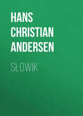 Hans Andersen Słowik обложка книги