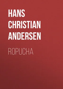 Hans Andersen Ropucha обложка книги