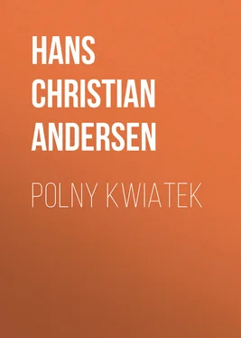 Hans Andersen Polny kwiatek обложка книги