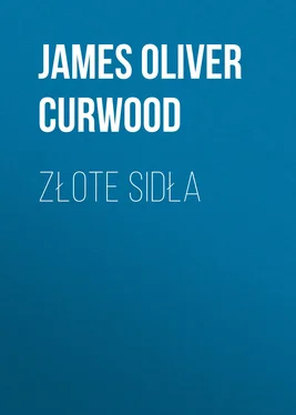 James Oliver Curwood Złote sidła обложка книги