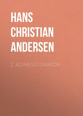 Hans Andersen Z jednego gniazda обложка книги