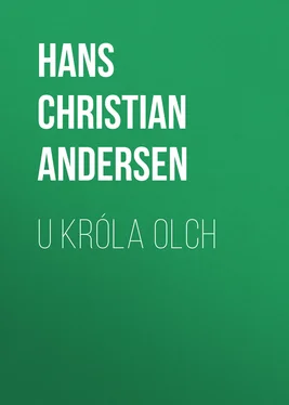 Hans Andersen U króla Olch обложка книги