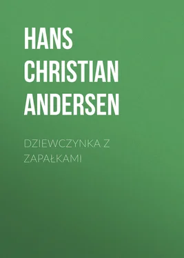 Hans Andersen Dziewczynka z zapałkami обложка книги