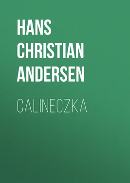 Hans Andersen Calineczka обложка книги