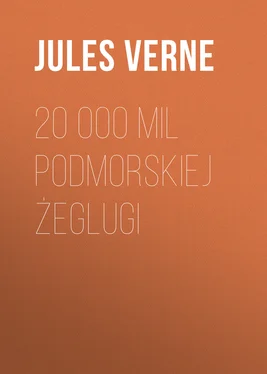 Jules Verne 20 000 mil podmorskiej żeglugi обложка книги