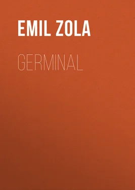 Emil Zola Germinal обложка книги