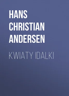 Hans Andersen Kwiaty Idalki обложка книги