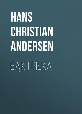 Hans Andersen Bąk i piłka обложка книги