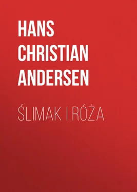 Hans Andersen Ślimak i róża обложка книги