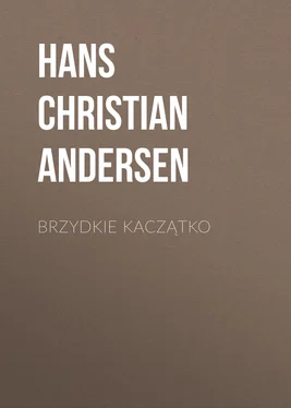 Hans Andersen Brzydkie kaczątko обложка книги