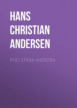 Hans Andersen Pod starą wierzbą обложка книги