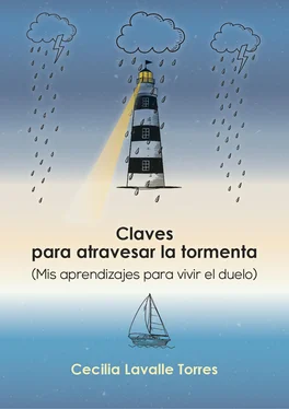 Cecilia Lavalle Torres Claves para atravesar la tormenta обложка книги
