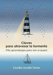 Cecilia Lavalle Torres - Claves para atravesar la tormenta