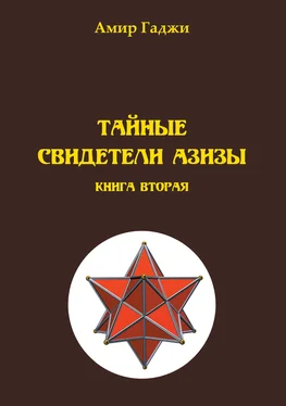 Амир Гаджи Тайные свидетели Азизы. Книга 2. Адель обложка книги