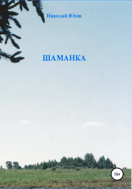 Николай Югов Шаманка обложка книги