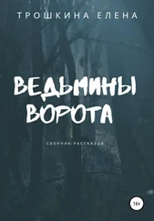Елена Трошкина - Ведьмины ворота. Сборник рассказов