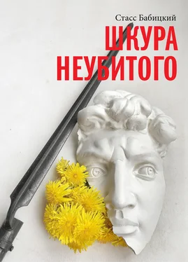 Стасс Бабицкий Шкура неубитого обложка книги