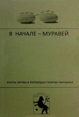 Коллектив авторов В начале – муравей. Поэты Литвы в переводах Георгия Ефремова обложка книги