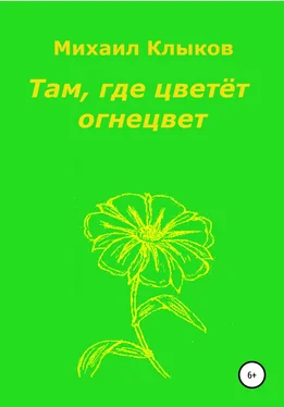 Михаил Клыков Там, где цветёт огнецвет обложка книги