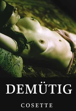 Cosette Demütig обложка книги