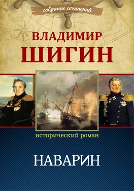 Владимир Шигин Наварин (Собрание сочинений) обложка книги