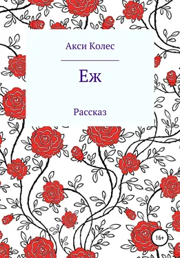 Акси Колес Еж обложка книги