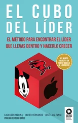 Salvador Molina - El cubo del líder