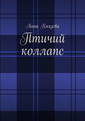Анна Князева - Птичий коллапс