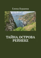 Елена Бурдина - Тайна острова Рейнеке