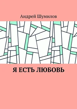 Андрей Шумилов Я есть любовь обложка книги