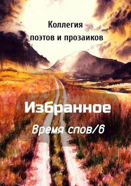 Эльвира Шабаева Избранное Время слов/6 обложка книги