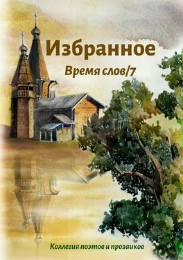 Эльвира Шабаева Избранное Время слов/7 обложка книги