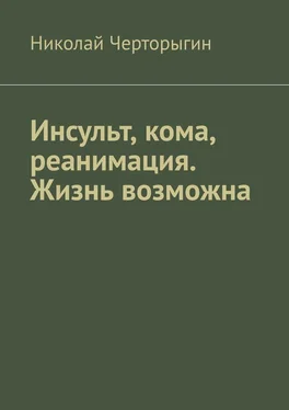 Николай Черторыгин Инсульт, кома, реанимация. Жизнь возможна обложка книги