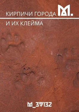 М_39132 Кирпичи города М. И их клейма обложка книги