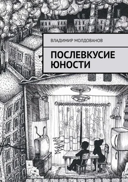 Владимир Молдованов Послевкусие юности обложка книги