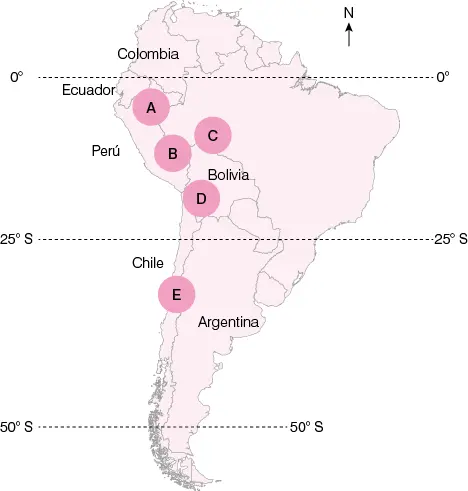 Es ampliamente aceptado que estas especies comparten un acervo genético común - фото 2
