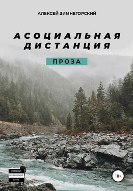 Алексей Зимнегорский Асоциальная дистанция обложка книги