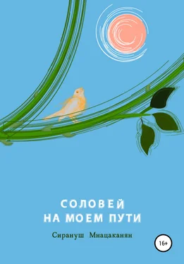 Сирануш Мнацаканян Соловей на моем пути обложка книги