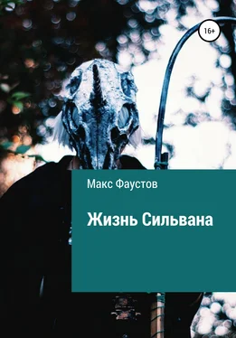 Макс Фаустов Жизнь Сильвана обложка книги