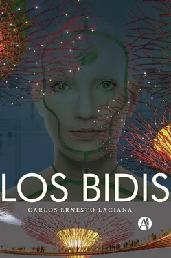 Carlos Ernesto Laciana Los Bidis обложка книги