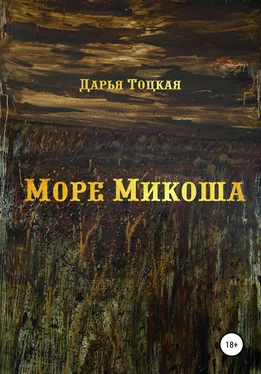 Дарья Тоцкая Море Микоша обложка книги