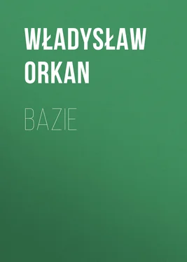 Władysław Orkan Bazie обложка книги