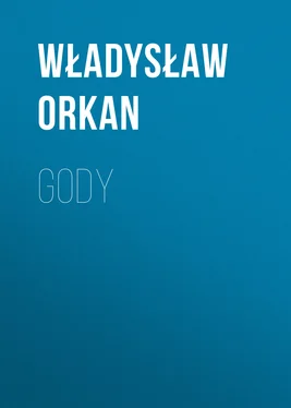 Władysław Orkan Gody обложка книги