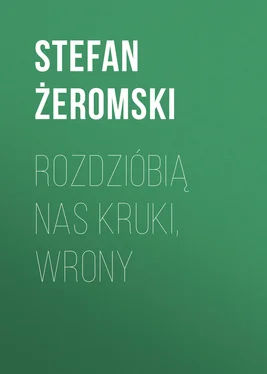 Stefan Żeromski Rozdzióbią nas kruki, wrony обложка книги